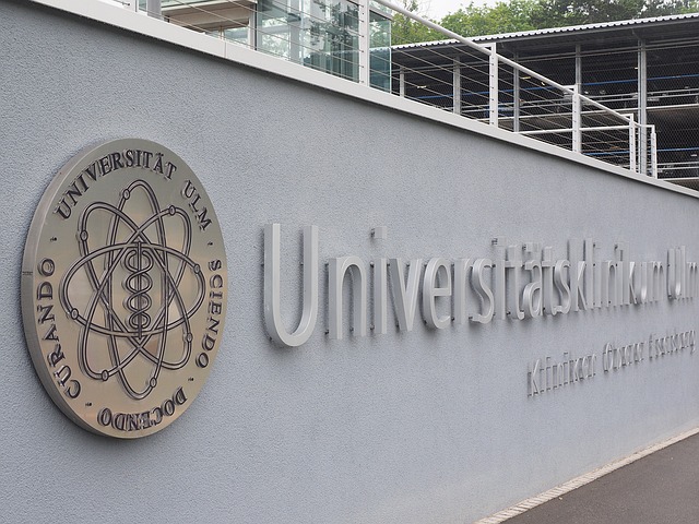 university-ulm-1366016_640